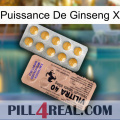 Ginseng Power X 41